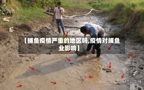 【捕鱼疫情严重的地区吗,疫情对捕鱼业影响】-第3张图片