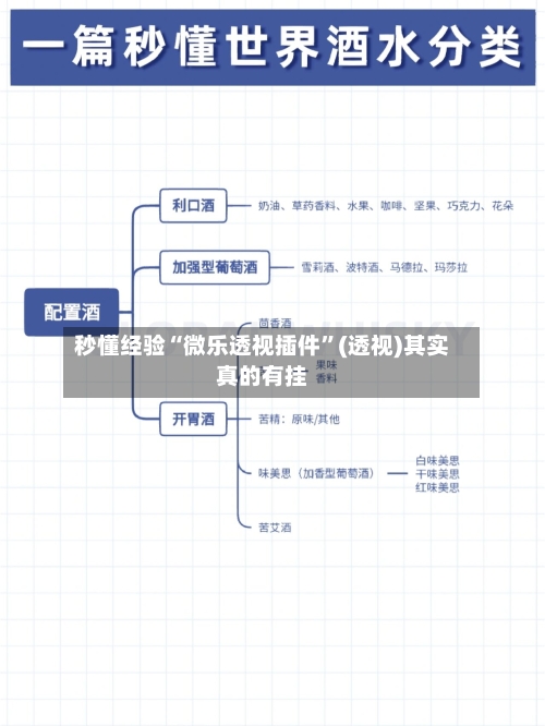 秒懂经验“微乐透视插件”(透视)其实真的有挂-第3张图片