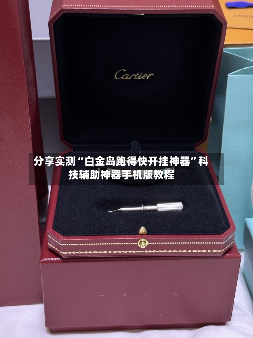 分享实测“白金岛跑得快开挂神器”科技辅助神器手机版教程-第3张图片