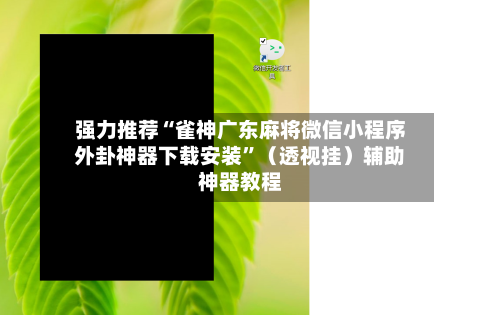 强力推荐“雀神广东麻将微信小程序外卦神器下载安装”（透视挂）辅助神器教程-第2张图片