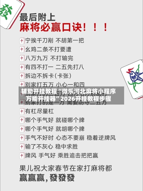 辅助开挂教程“微乐河北麻将小程序万能开挂器”2026开挂教程步骤-第2张图片