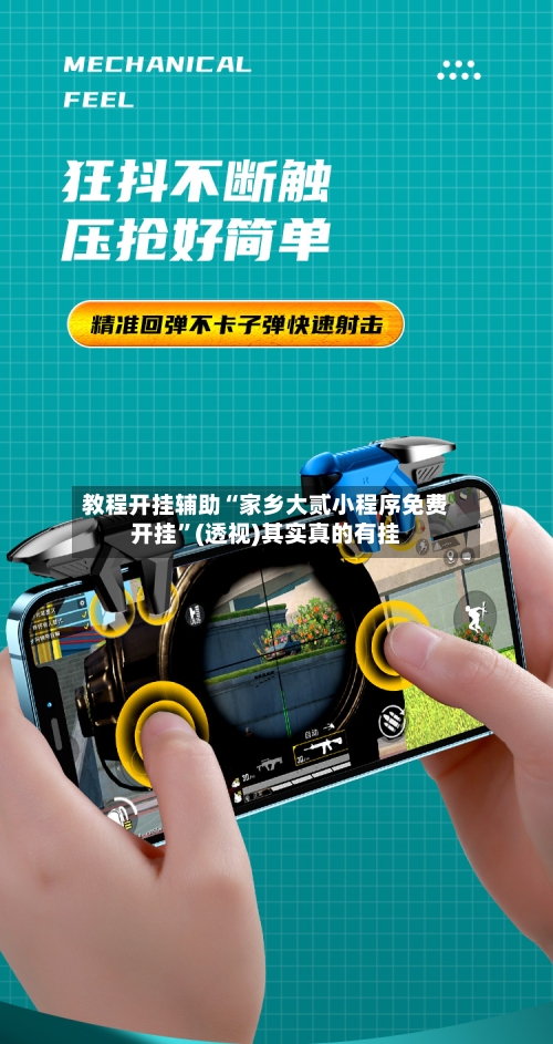 教程开挂辅助“家乡大贰小程序免费开挂”(透视)其实真的有挂-第2张图片