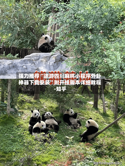 强力推荐“途游四川麻将小程序外卦神器下载安装”附开挂脚本详细教程-知乎-第3张图片