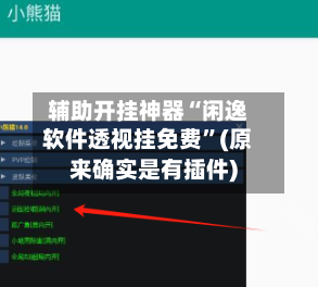 辅助开挂神器“闲逸软件透视挂免费”(原来确实是有插件)-第3张图片