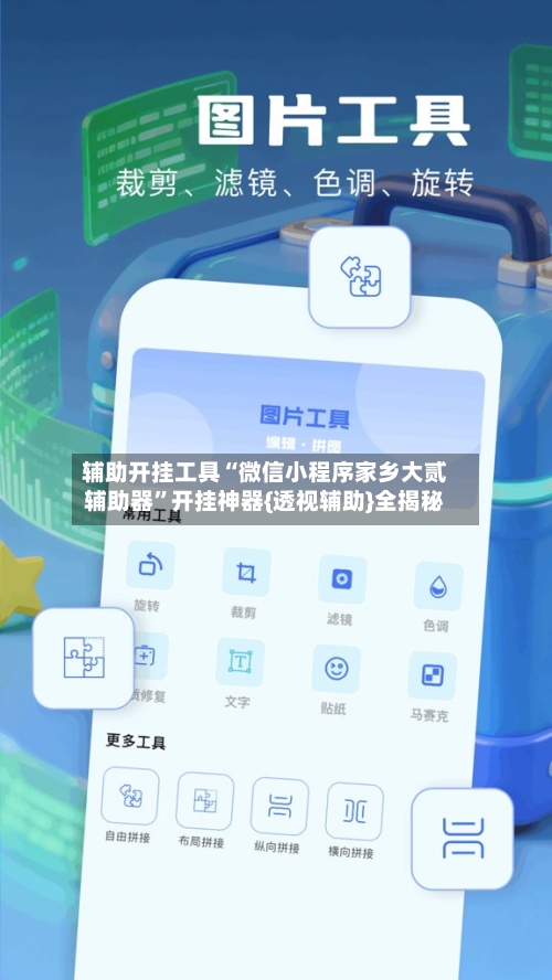 辅助开挂工具“微信小程序家乡大贰辅助器”开挂神器{透视辅助}全揭秘-第2张图片