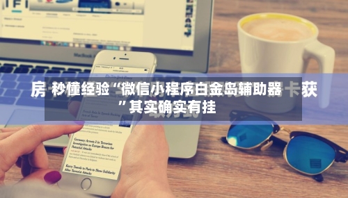 秒懂经验“微信小程序白金岛辅助器”其实确实有挂-第2张图片