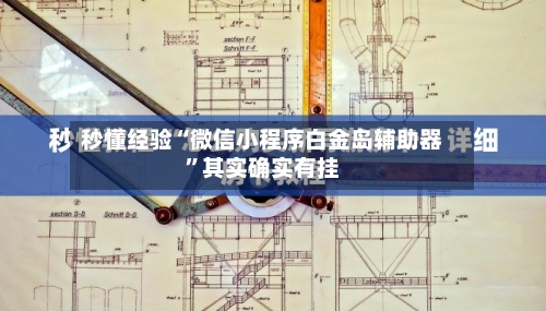 秒懂经验“微信小程序白金岛辅助器	”其实确实有挂-第3张图片