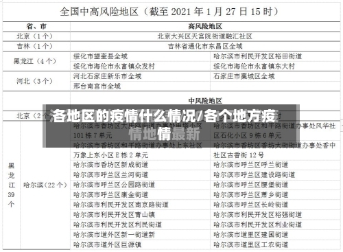 各地区的疫情什么情况/各个地方疫情-第2张图片