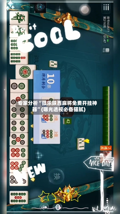 专家分析“微乐陕西麻将免费开挂神器”(曝光透视必备猫腻)-第2张图片