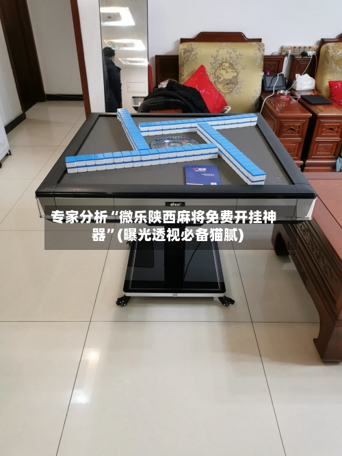 专家分析“微乐陕西麻将免费开挂神器”(曝光透视必备猫腻)-第3张图片