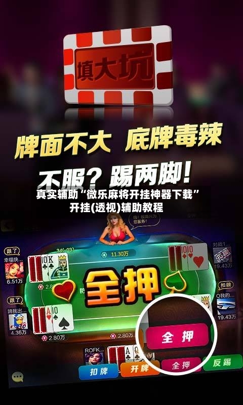 真实辅助“微乐麻将开挂神器下载”开挂(透视)辅助教程-第2张图片