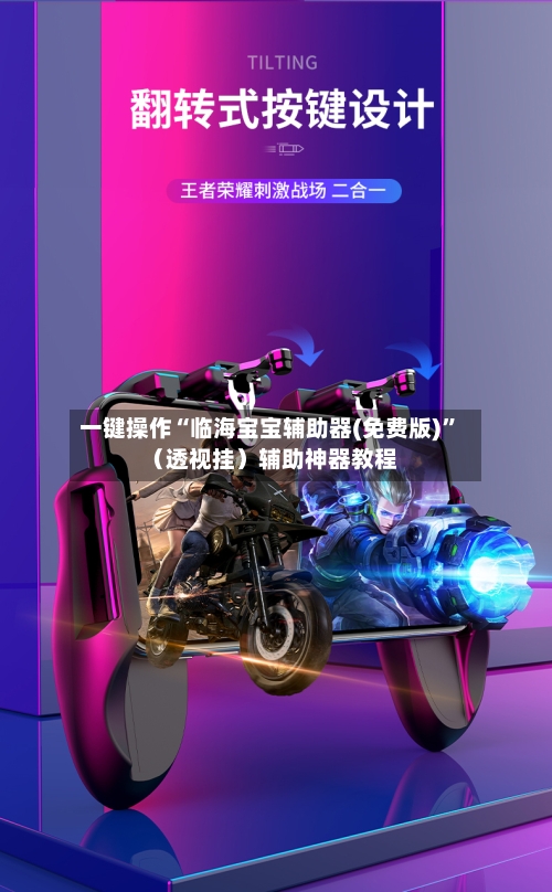 一键操作“临海宝宝辅助器(免费版)”（透视挂）辅助神器教程-第3张图片