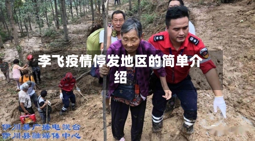 李飞疫情停发地区的简单介绍