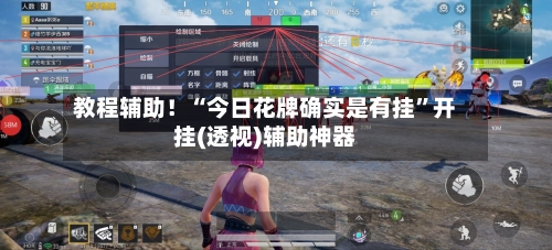 教程辅助！“今日花牌确实是有挂”开挂(透视)辅助神器