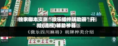 独家脚本实测“微乐插件辅助器”开挂(透视)辅助神器-第2张图片