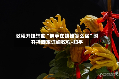 教程开挂辅助“佛手在线挂怎么买”附开挂脚本详细教程-知乎-第2张图片