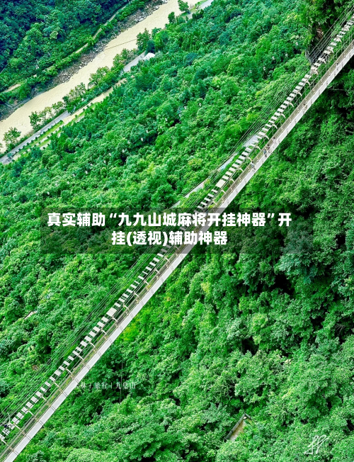 真实辅助“九九山城麻将开挂神器”开挂(透视)辅助神器-第3张图片