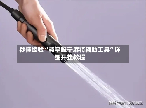 秒懂经验“畅享睢宁麻将辅助工具	”详细开挂教程-第2张图片