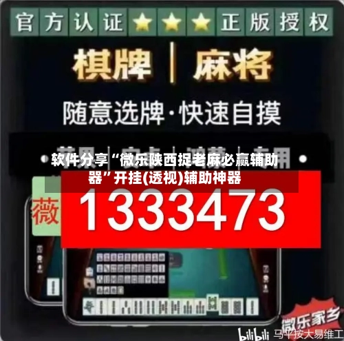 软件分享“微乐陕西捉老麻必赢辅助器”开挂(透视)辅助神器-第2张图片