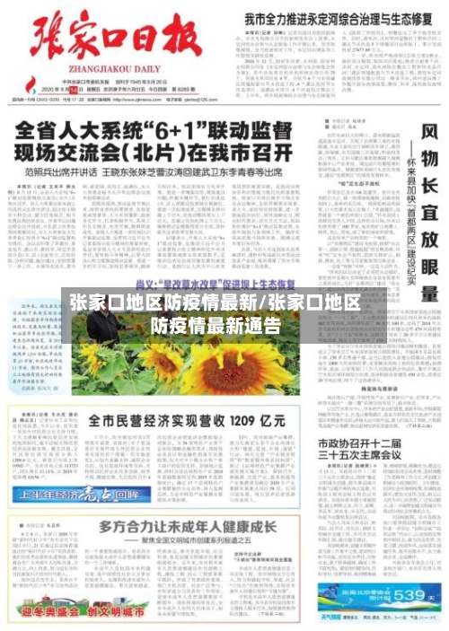 张家口地区防疫情最新/张家口地区防疫情最新通告-第2张图片
