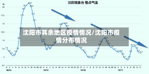 沈阳市其余地区疫情情况/沈阳市疫情分布情况