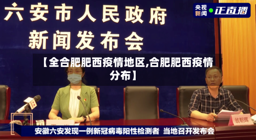 【全合肥肥西疫情地区,合肥肥西疫情分布】