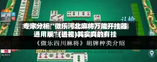 专家分析“微乐河北麻将万能开挂器通用版”(透视)其实真的有挂-第2张图片