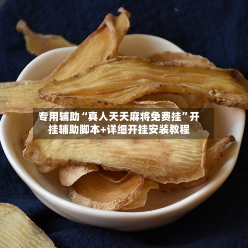 专用辅助“真人天天麻将免费挂”开挂辅助脚本+详细开挂安装教程-第3张图片