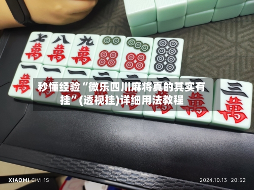 秒懂经验“微乐四川麻将真的其实有挂”(透视挂)详细用法教程