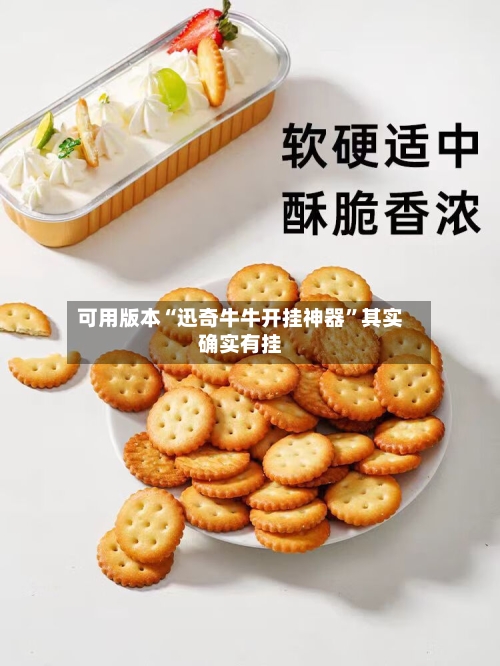 可用版本“迅奇牛牛开挂神器”其实确实有挂-第2张图片