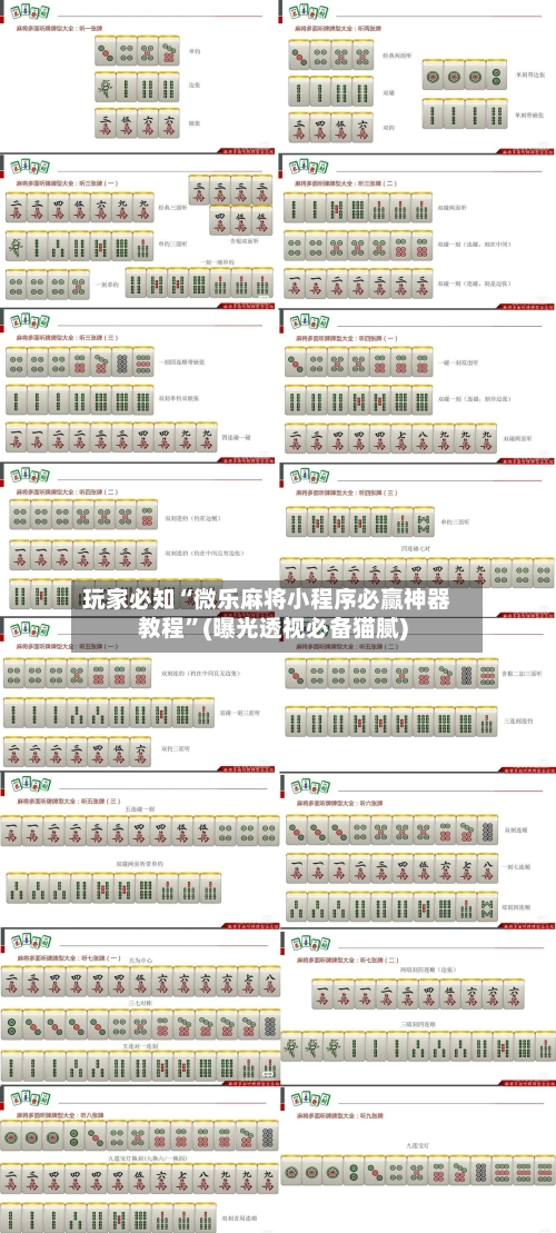 玩家必知“微乐麻将小程序必赢神器教程	”(曝光透视必备猫腻)-第2张图片