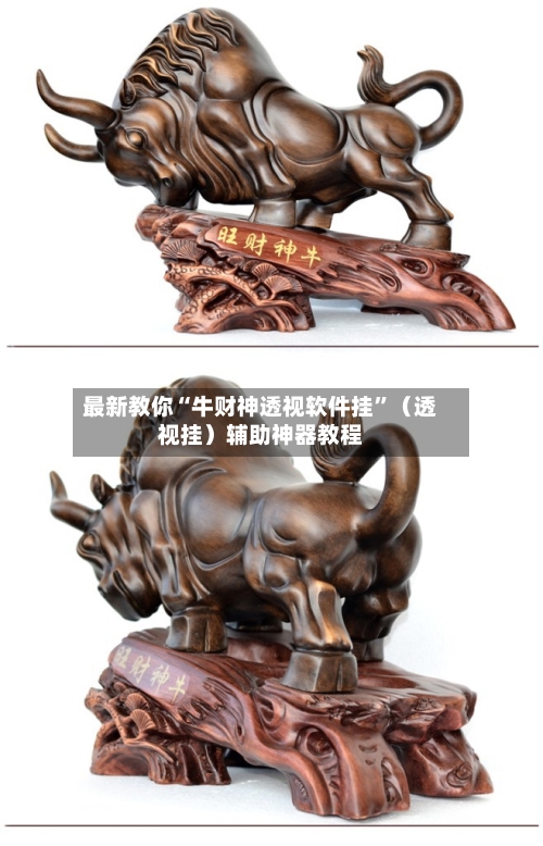 最新教你“牛财神透视软件挂”（透视挂）辅助神器教程