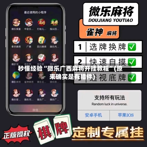 秒懂经验“微乐广西麻将开挂教程”(原来确实是有插件)-第3张图片