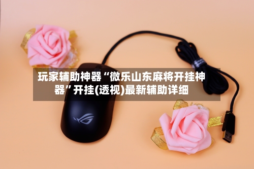 玩家辅助神器“微乐山东麻将开挂神器”开挂(透视)最新辅助详细-第2张图片