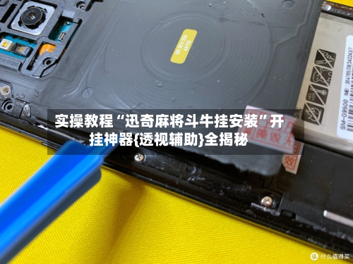 实操教程“迅奇麻将斗牛挂安装”开挂神器{透视辅助}全揭秘-第2张图片