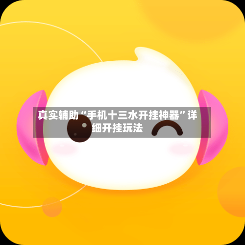 真实辅助“手机十三水开挂神器”详细开挂玩法-第2张图片