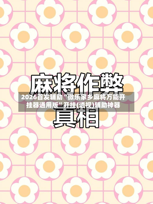 2026首发辅助“微乐家乡麻将万能开挂器通用版”开挂(透视)辅助神器-第3张图片