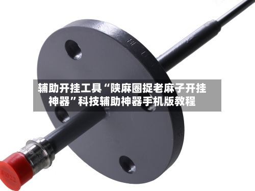 辅助开挂工具“陕麻圈捉老麻子开挂神器”科技辅助神器手机版教程-第2张图片