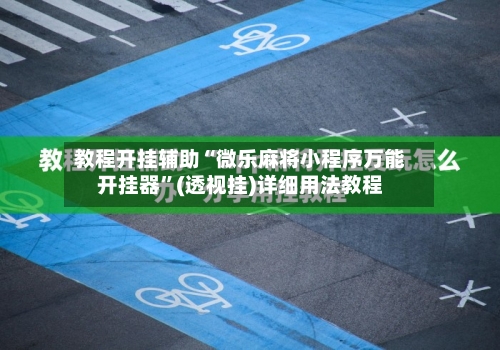 教程开挂辅助“微乐麻将小程序万能开挂器”(透视挂)详细用法教程-第2张图片