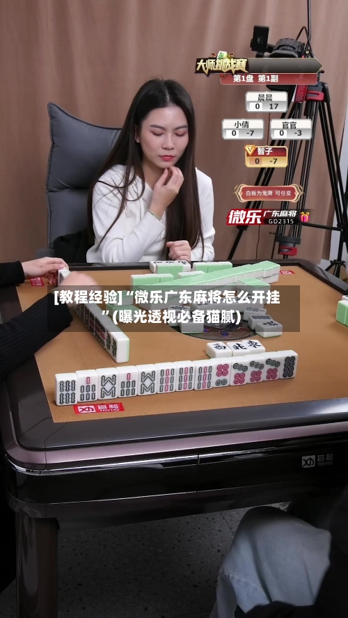 [教程经验]“微乐广东麻将怎么开挂”(曝光透视必备猫腻)-第2张图片