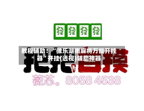 教程辅助！“微乐湖南麻将万能开挂器”开挂(透视)辅助神器-第2张图片