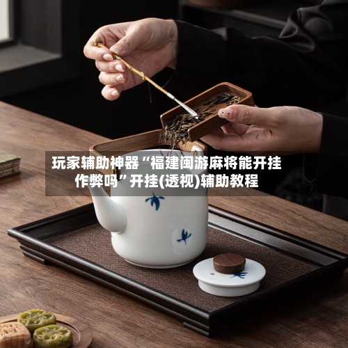 玩家辅助神器“福建闽游麻将能开挂作弊吗”开挂(透视)辅助教程-第3张图片