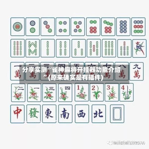 分享实测“雀神麻将开挂器功能介绍	”(原来确实是有插件)-第2张图片