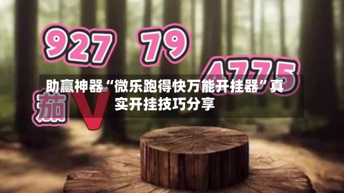 助赢神器“微乐跑得快万能开挂器	”真实开挂技巧分享-第2张图片