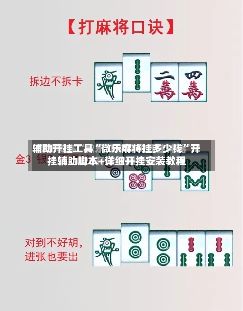 辅助开挂工具“微乐麻将挂多少钱”开挂辅助脚本+详细开挂安装教程-第2张图片