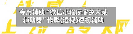 专用辅助“微信小程序家乡大贰辅助器”作弊(透视)透视辅助-第2张图片