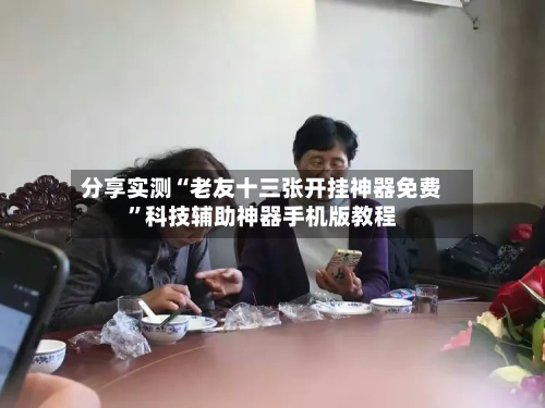 分享实测“老友十三张开挂神器免费”科技辅助神器手机版教程