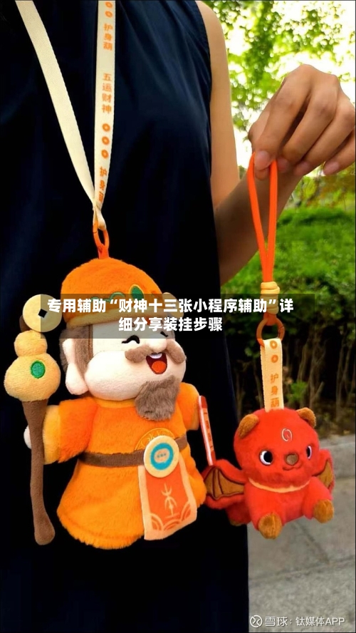 专用辅助“财神十三张小程序辅助	”详细分享装挂步骤-第2张图片