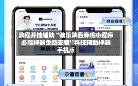 教程开挂辅助“微乐陕西麻将小程序必赢神器免费安装”科技辅助神器手机版-第2张图片
