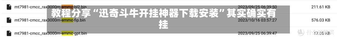 教程分享“迅奇斗牛开挂神器下载安装”其实确实有挂-第2张图片